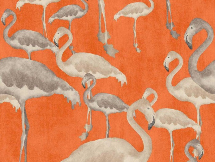 flamingo beach calypso wallpaper from a shade wilder