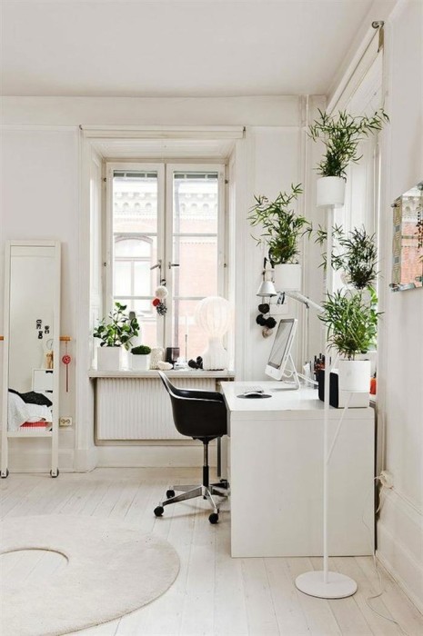 white office green plants from remodelista