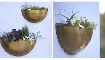 brass wall planters from rowen and wren