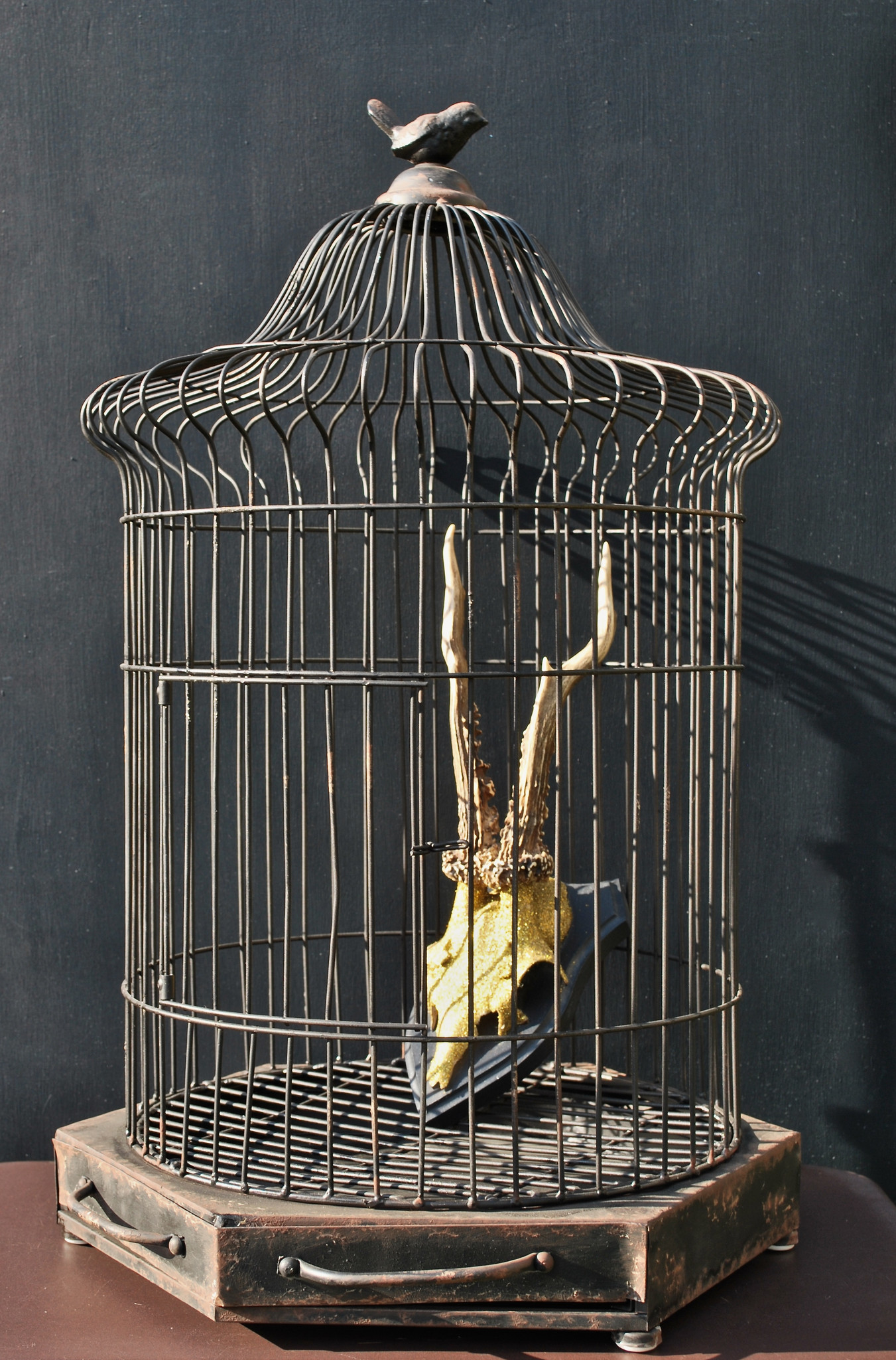 antique style birdcage from coralandbone.com