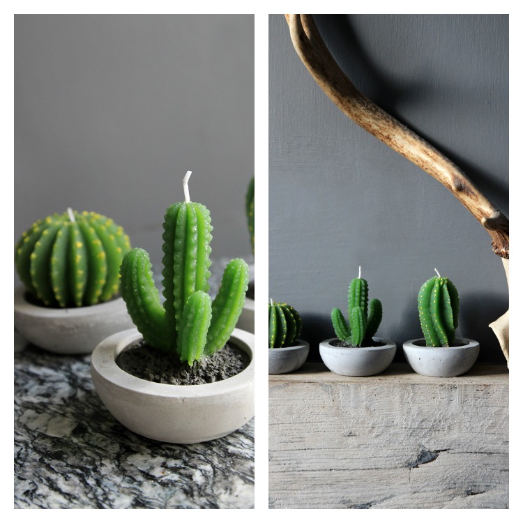 cactus candles from rockettstgeorge