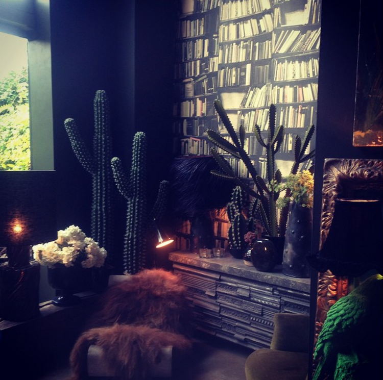 faux cacti from abigail ahern