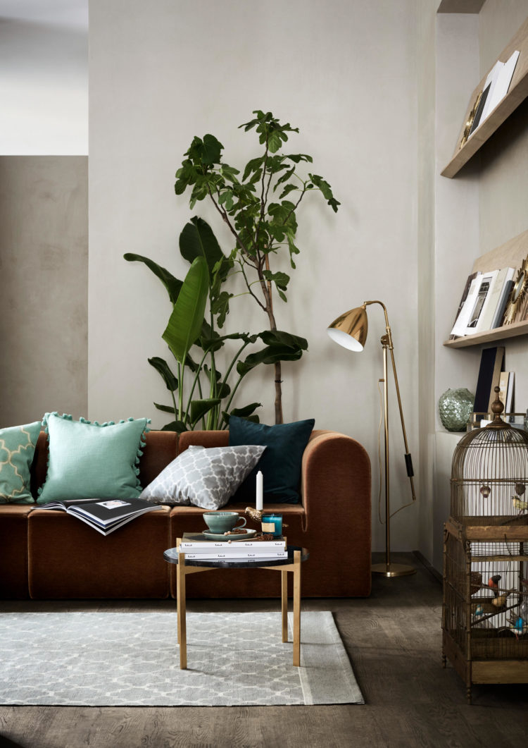 plants and neutrals for hmhome 