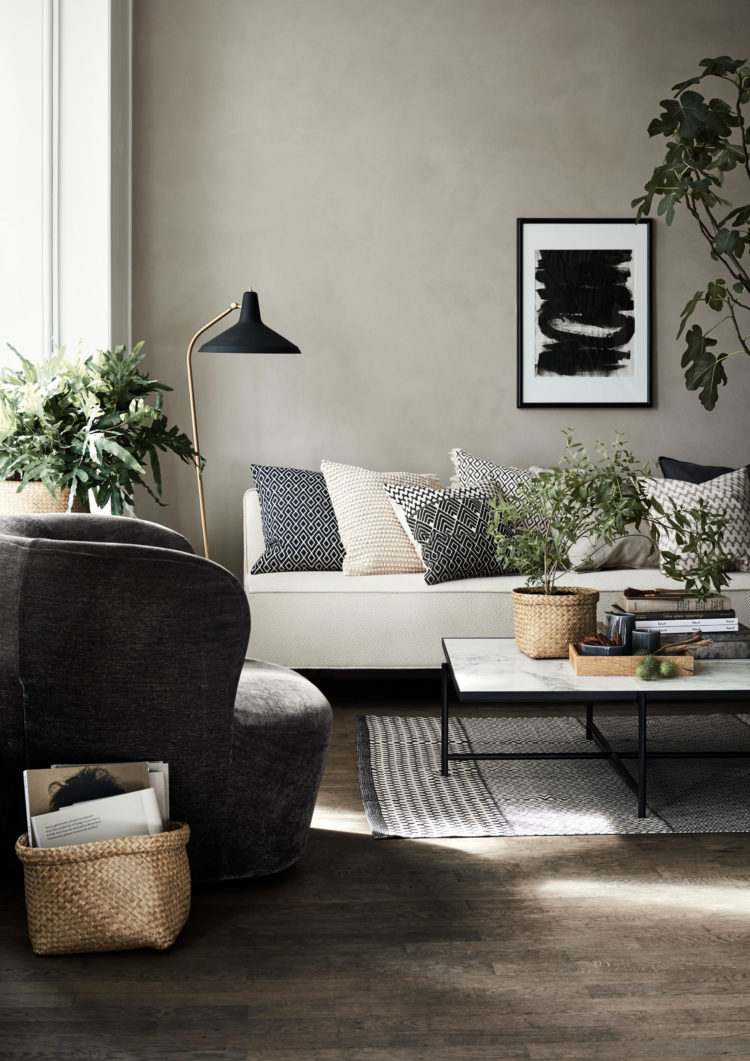 neutrals and plants for hm homei