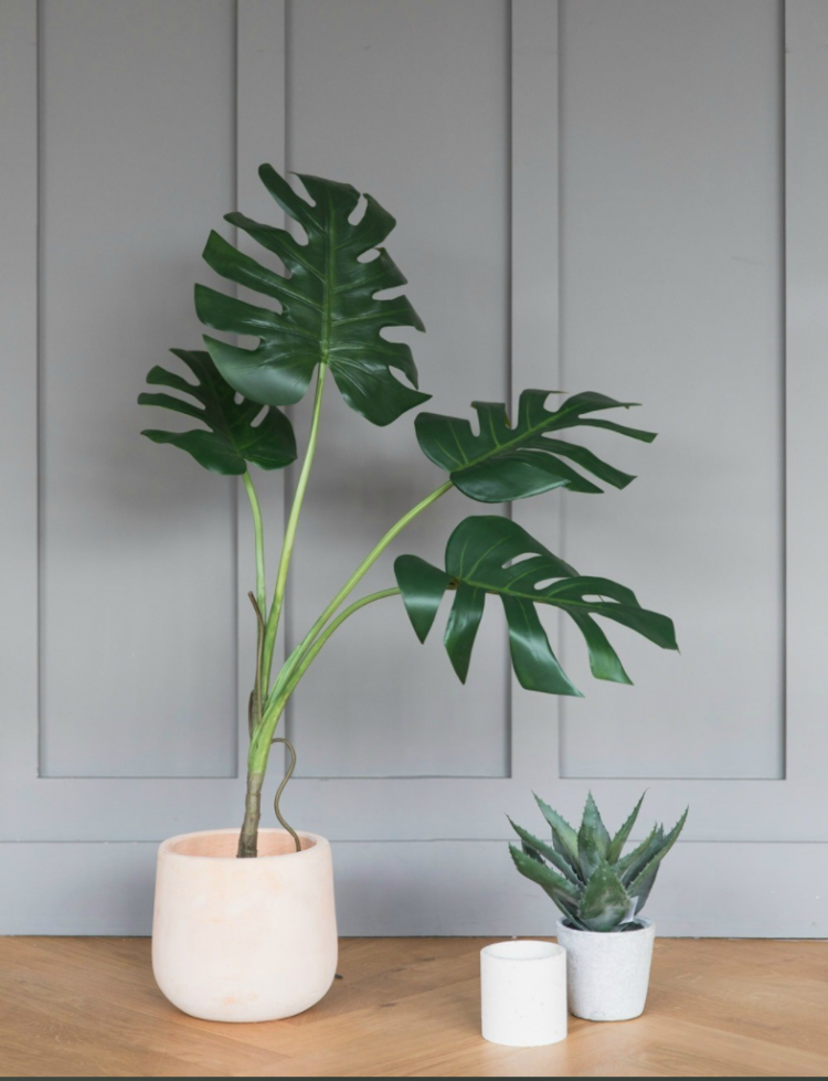 faux monstera plant from rose and grey