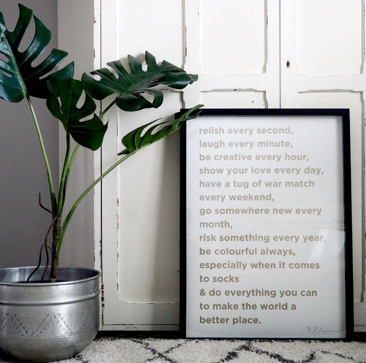 faux monstera plant from rose and grey image by erica davies