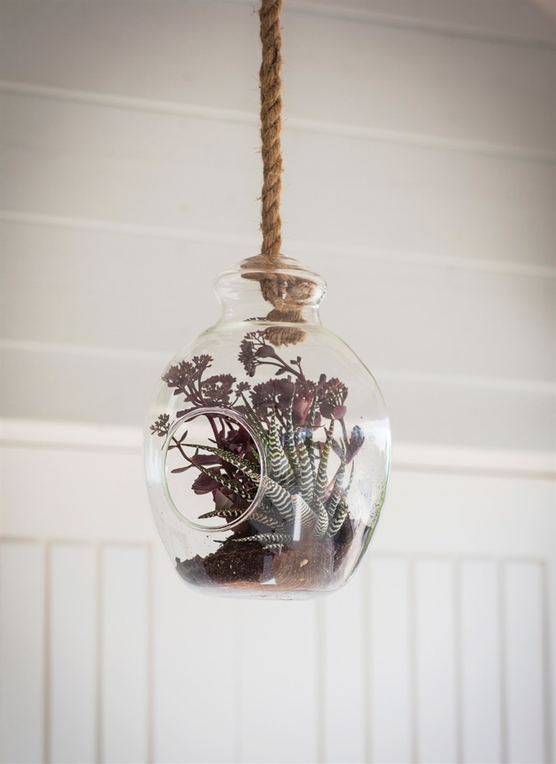hanging terrarium glass planter from garden trading