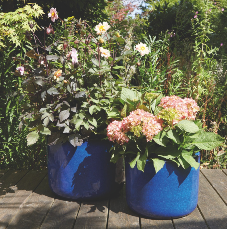 blue ceramic planter from habitat