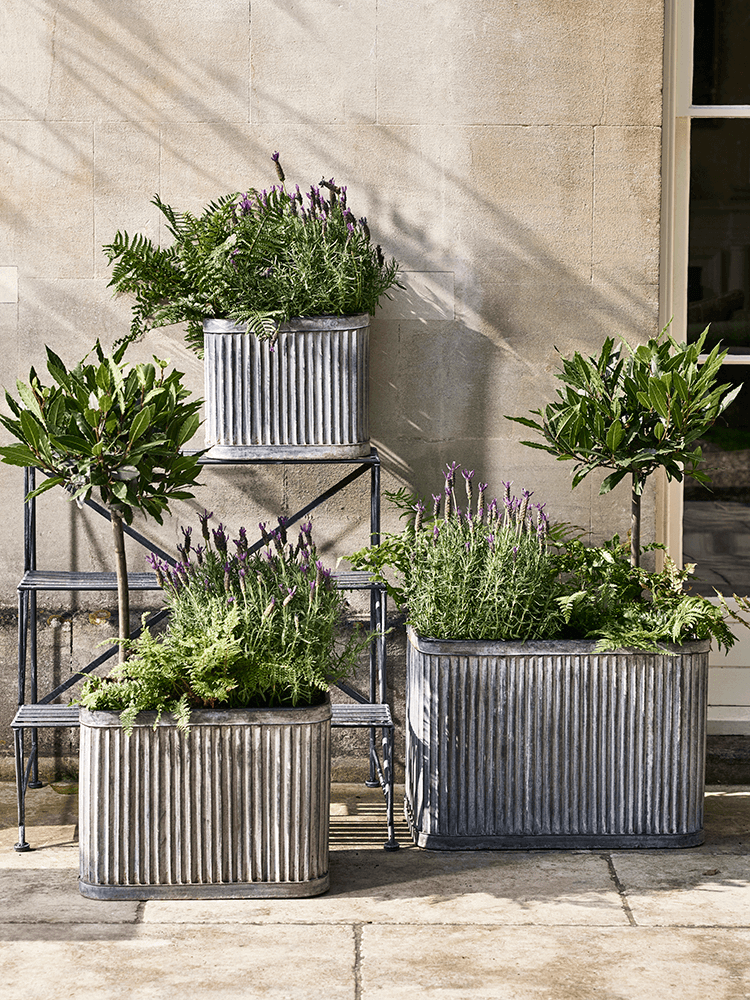 fluted zinc planter from cox and cox