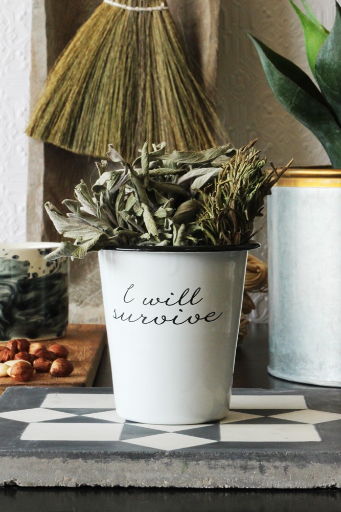 I will survive plant pot from rockett st george