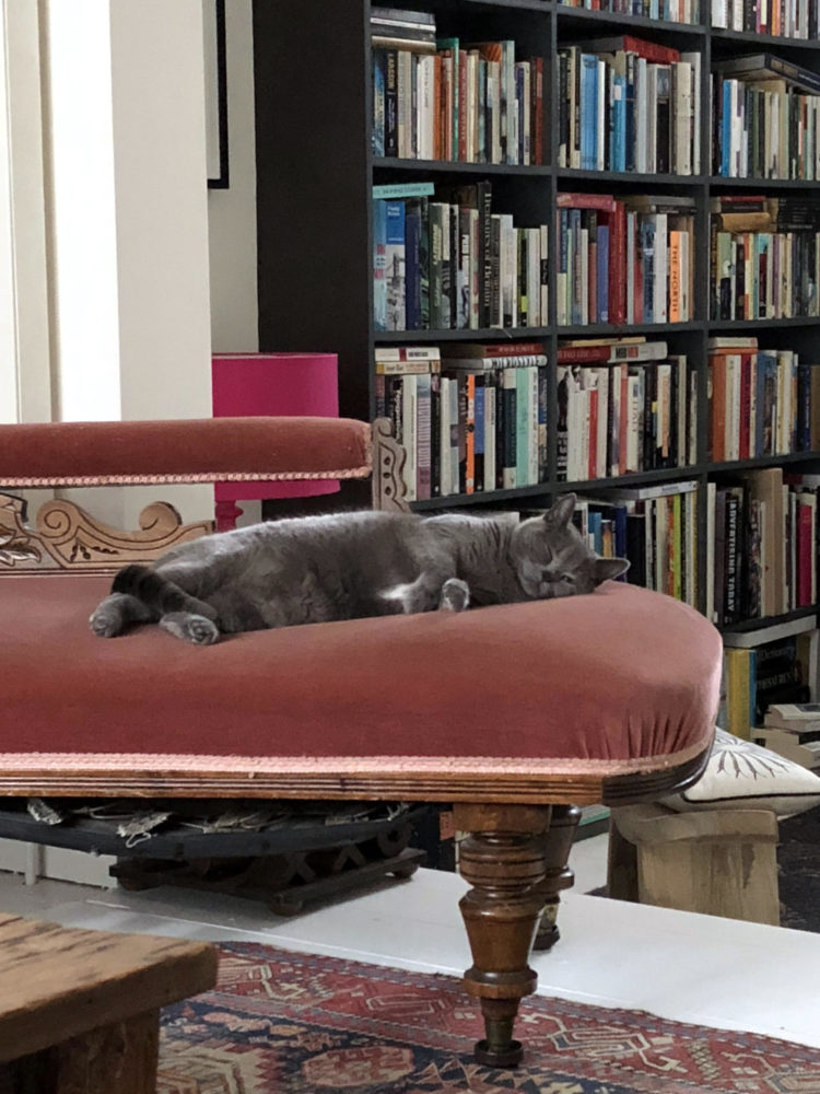 broken chaise with Enid cat