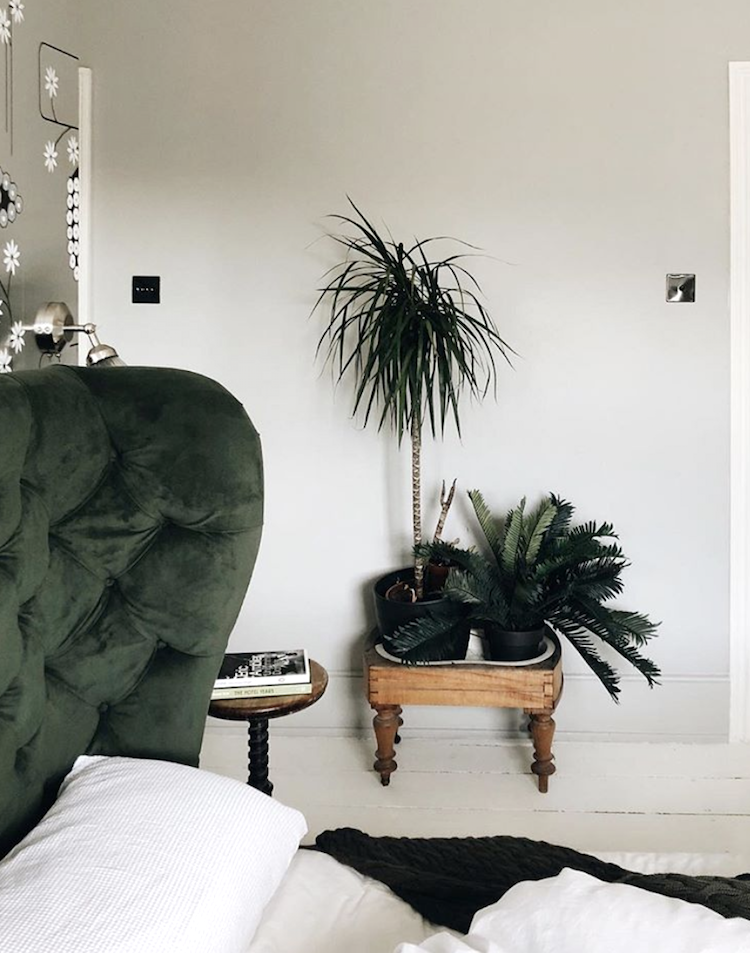 plants are healthy for bedrooms image by KW-S bed by sofasandstuff
