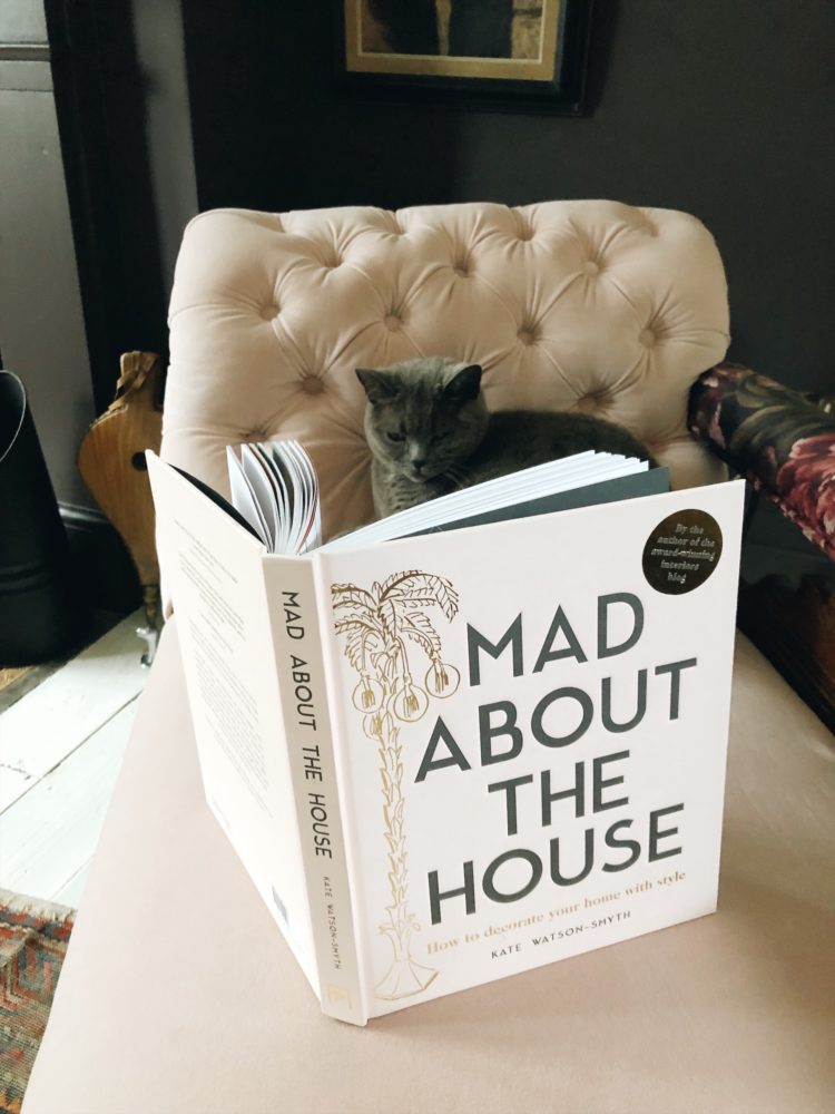 Enid Cat reads Mad About The House
