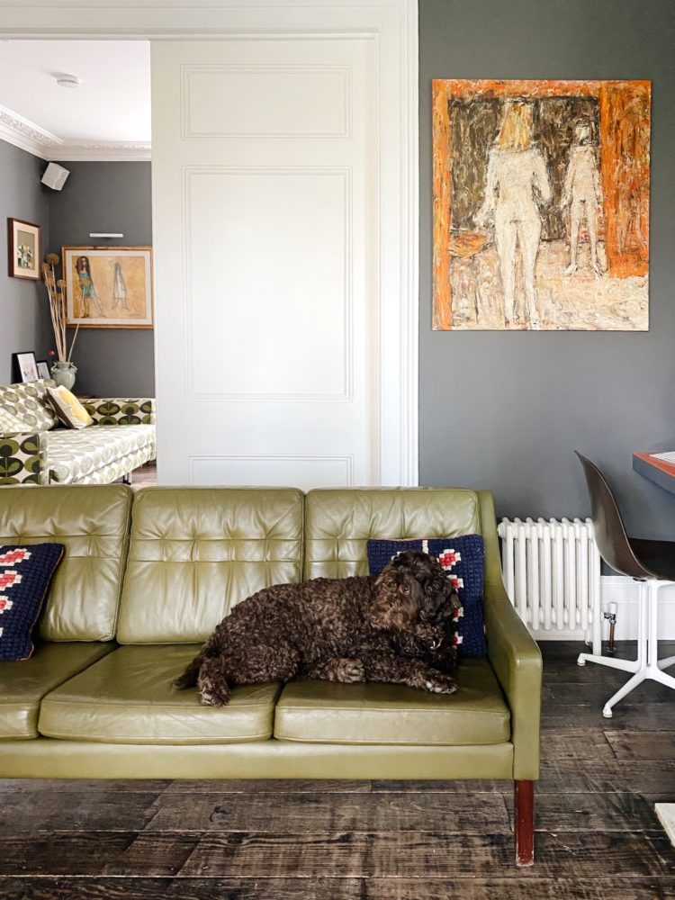 orla keily's dog olive on her olive green sofa