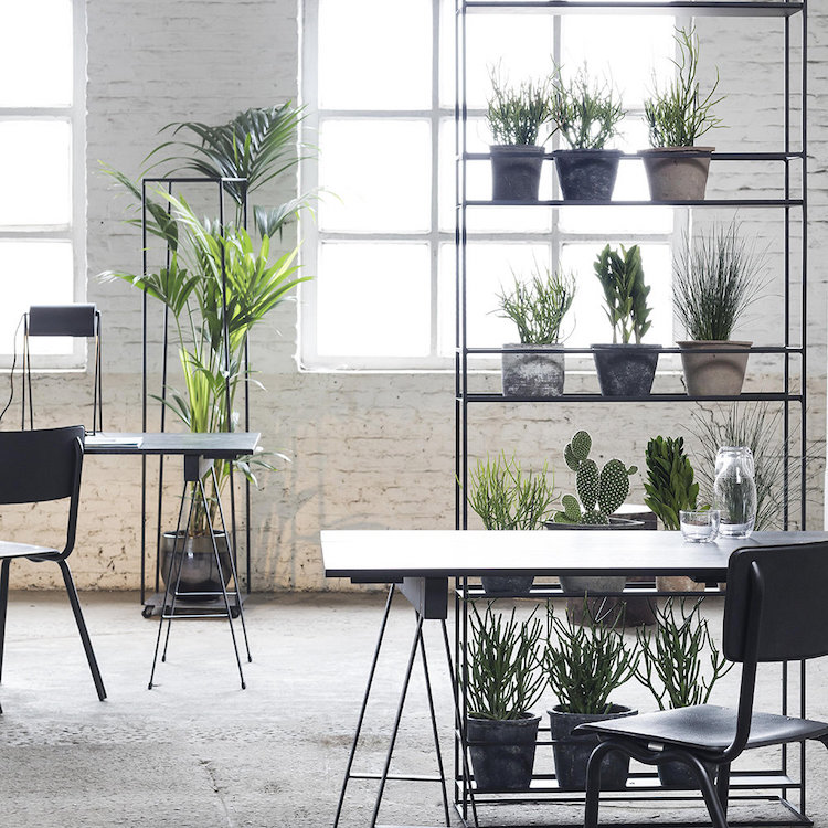 serax plant rack acts as storage and room divider