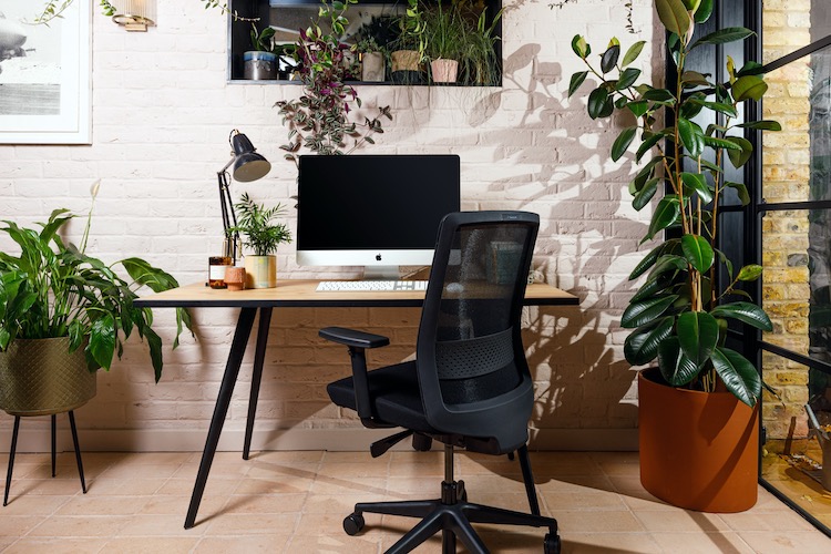 plants are important in offices via trifle creative