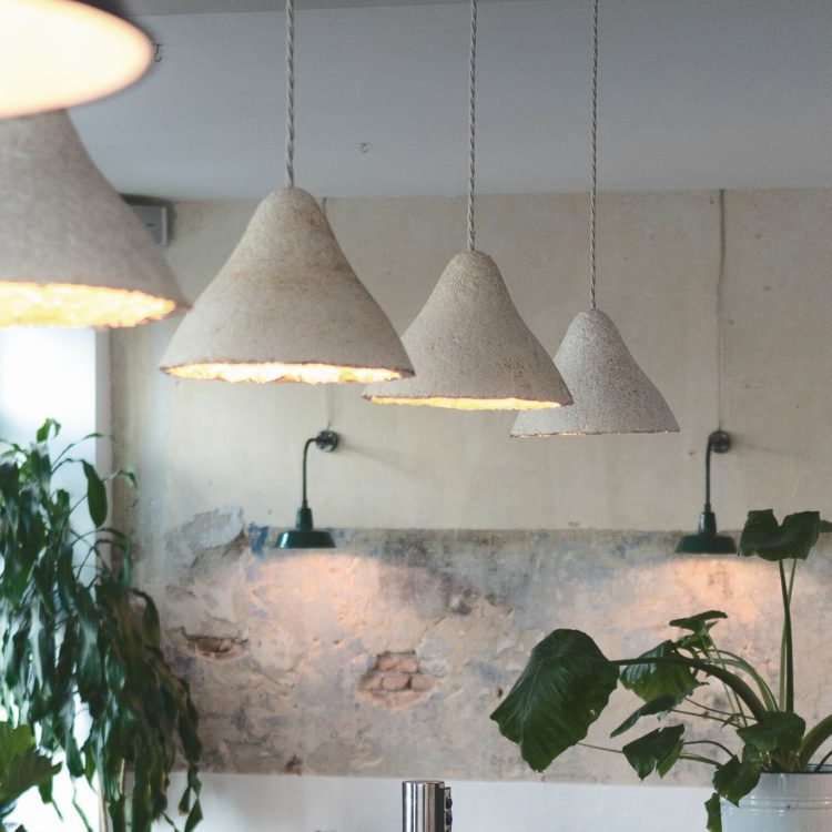ty syml makes lights from wood waste and seaweed