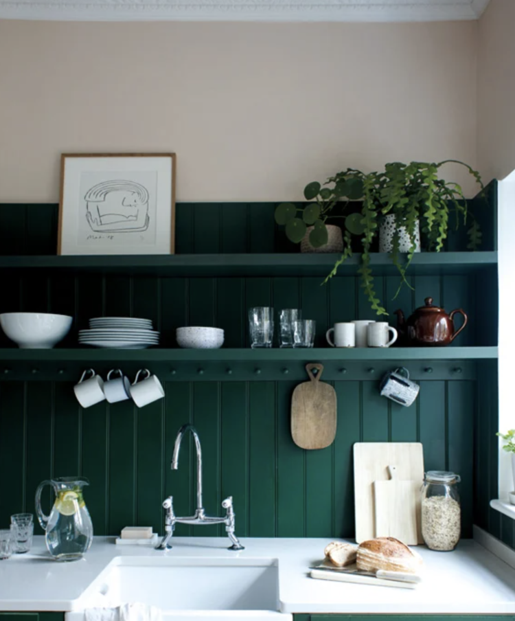 duck green by farrow and ball in modern emulsion rated best buy by Which? magazine